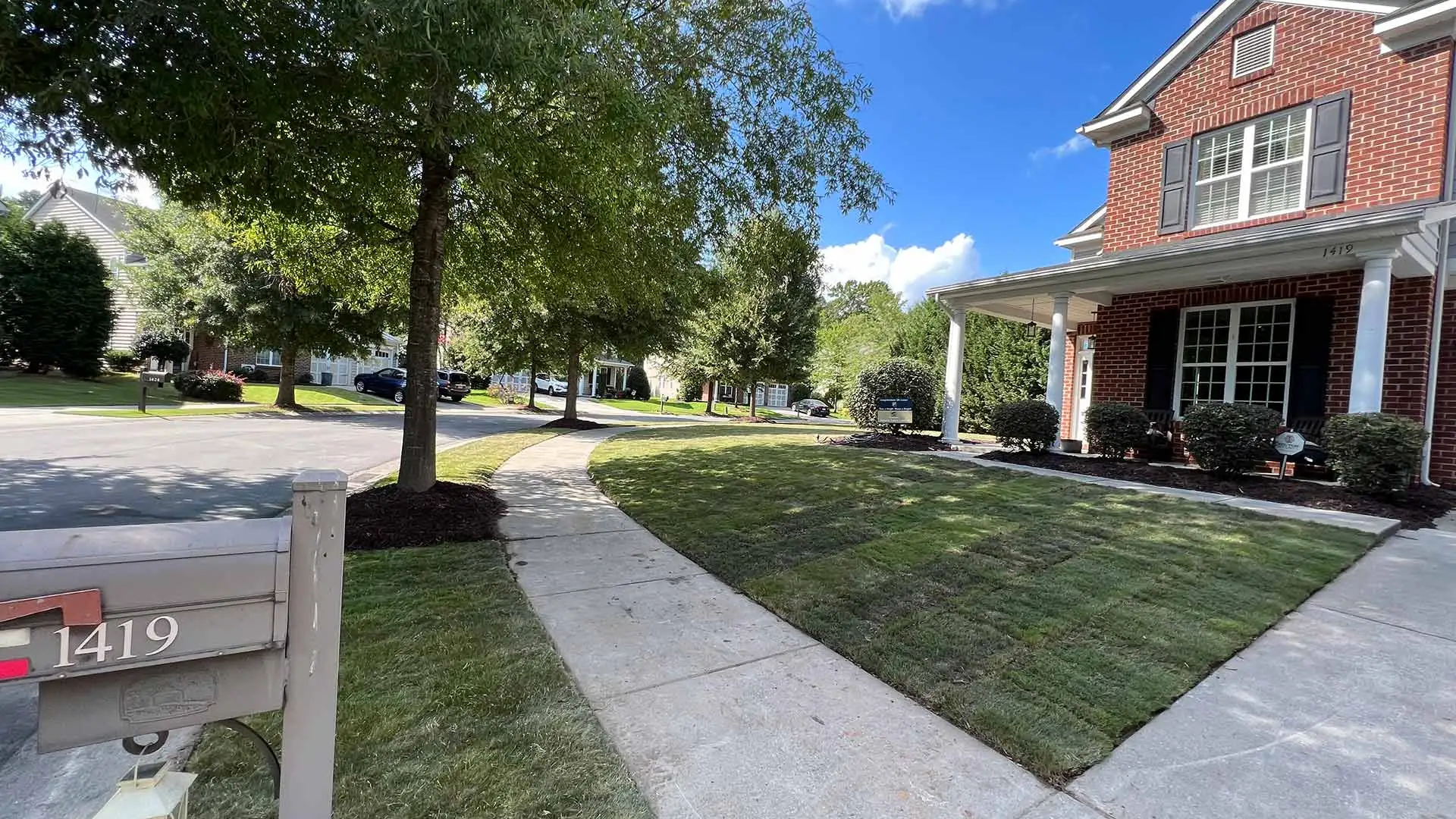 Beautiful new sod lawn for a customer in a neighborhood near Matthews, NC.