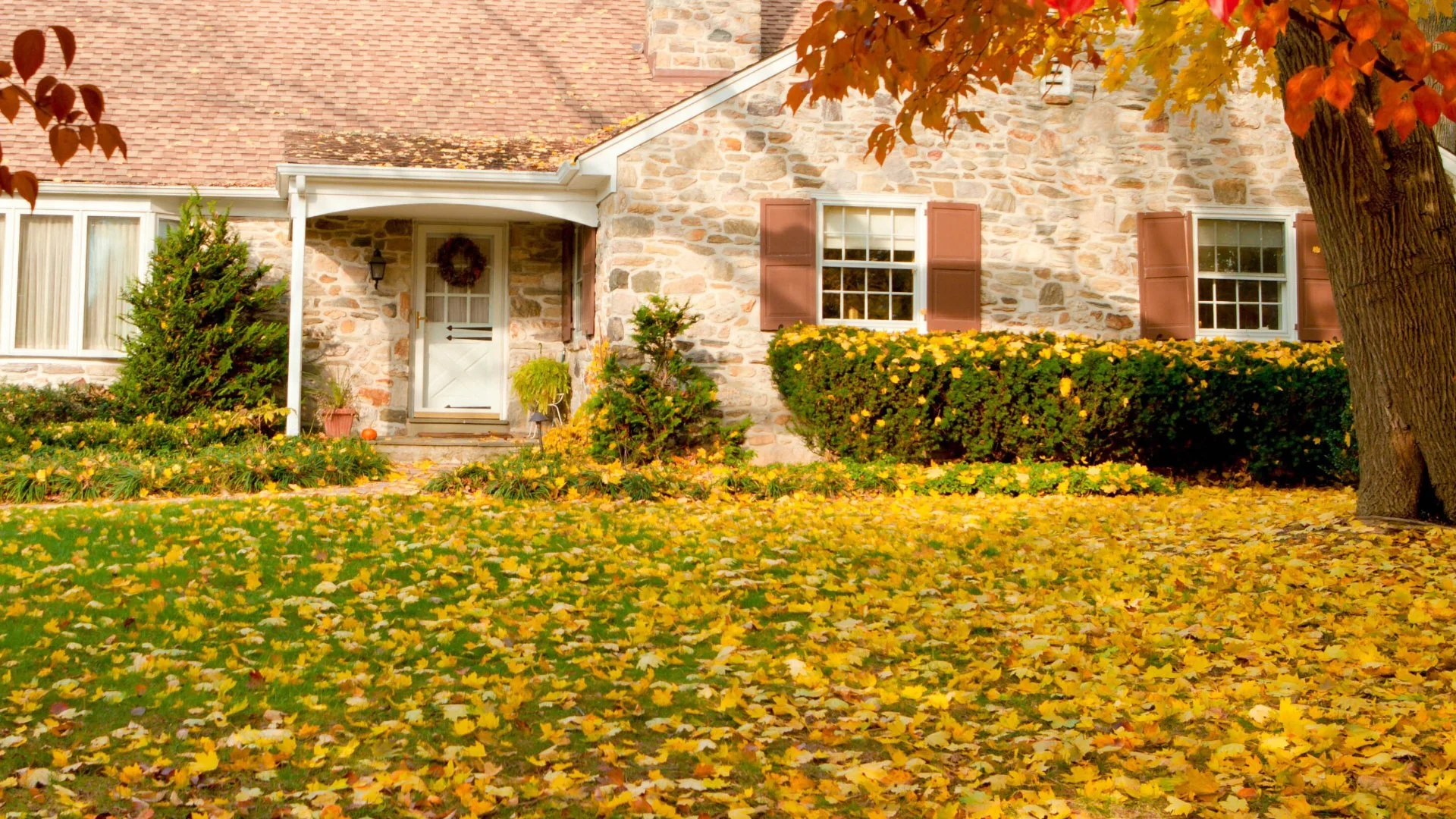 What Problems Can Come From Leaving the Leaf Piles on Your Lawn This Fall?