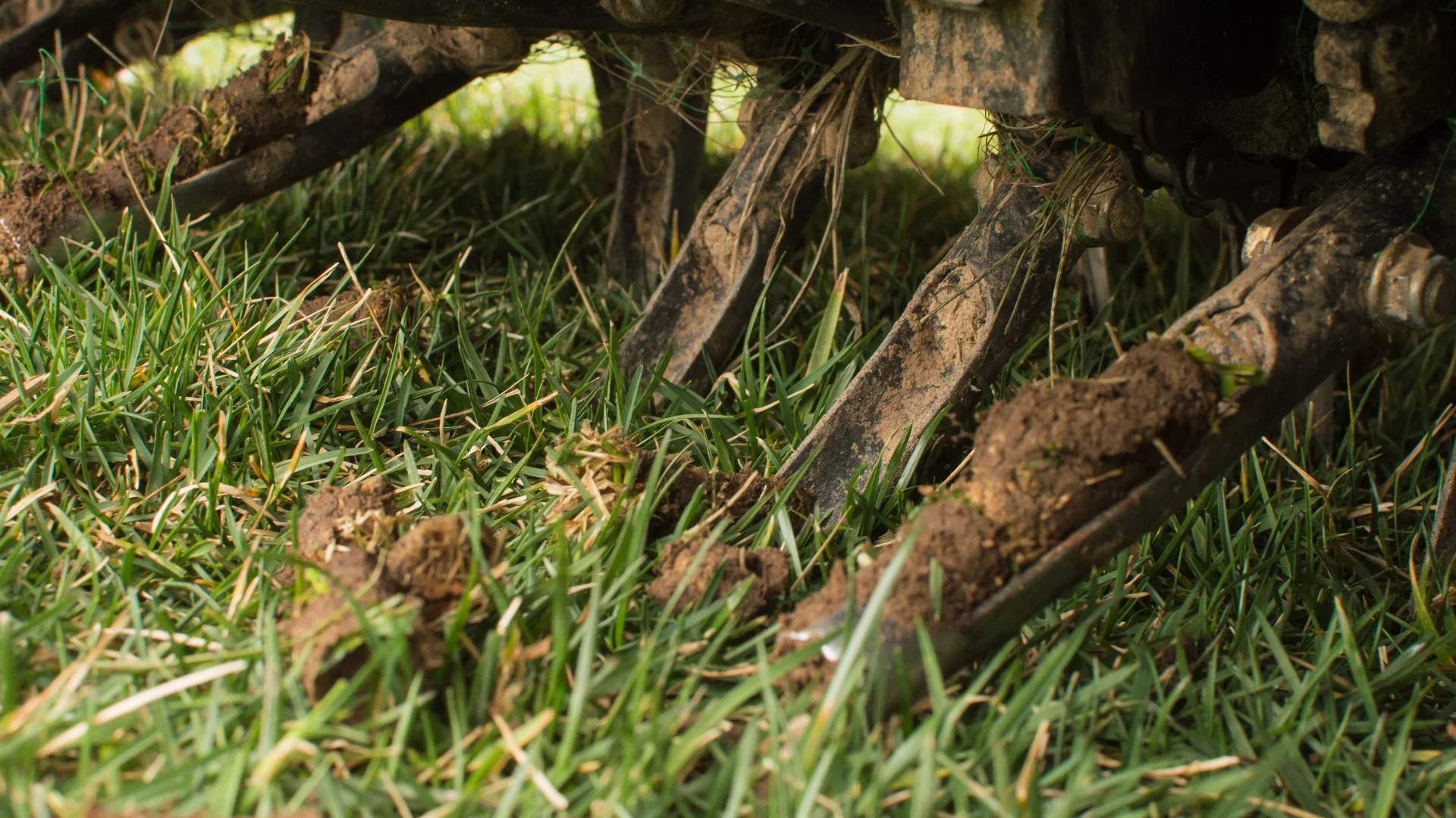 The Two Ways to Aerate Your Lawn & Which Is Best