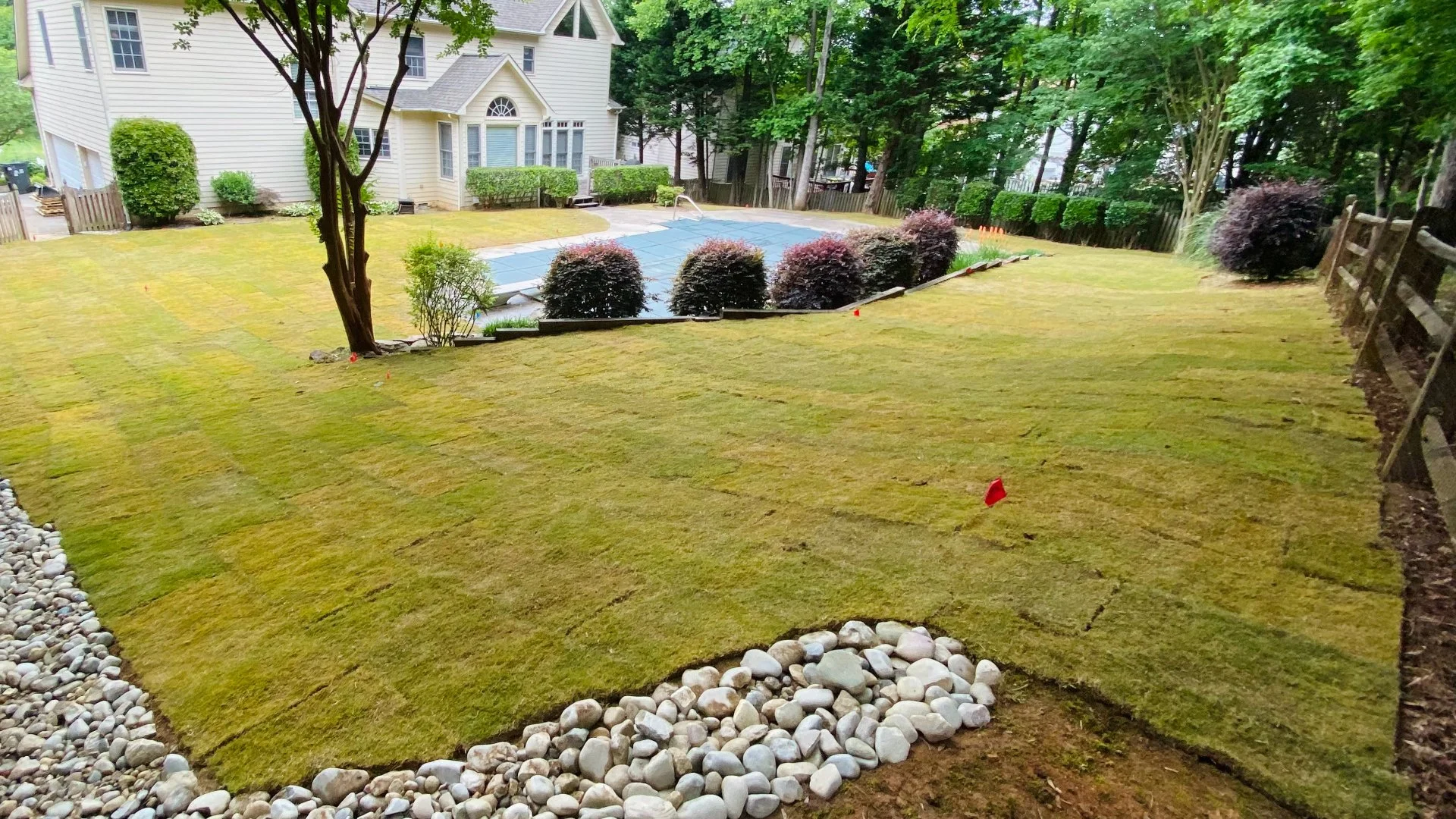 How Soon After Installing Sod Will It Start Growing Roots?