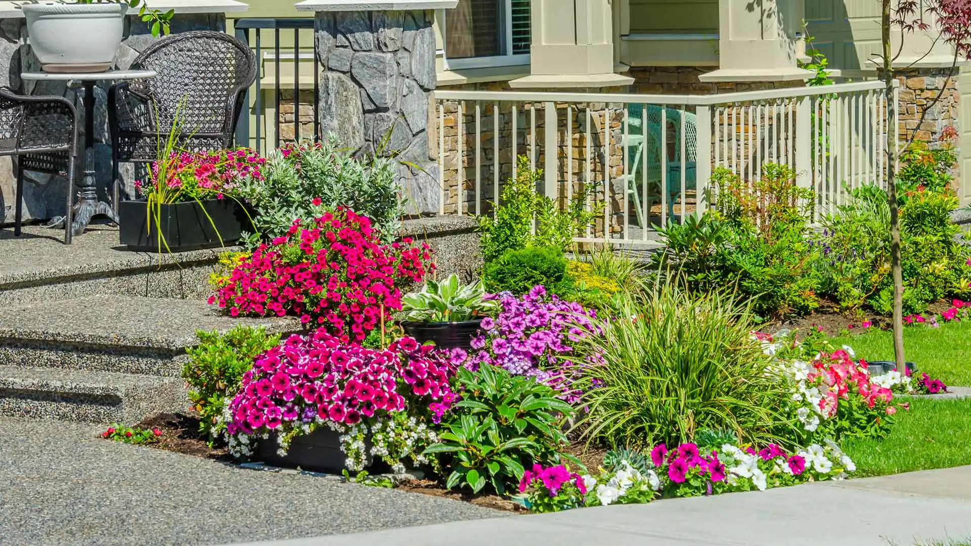 Gorgeous landscape bed full of flowers and various plants near Matthews, NC.