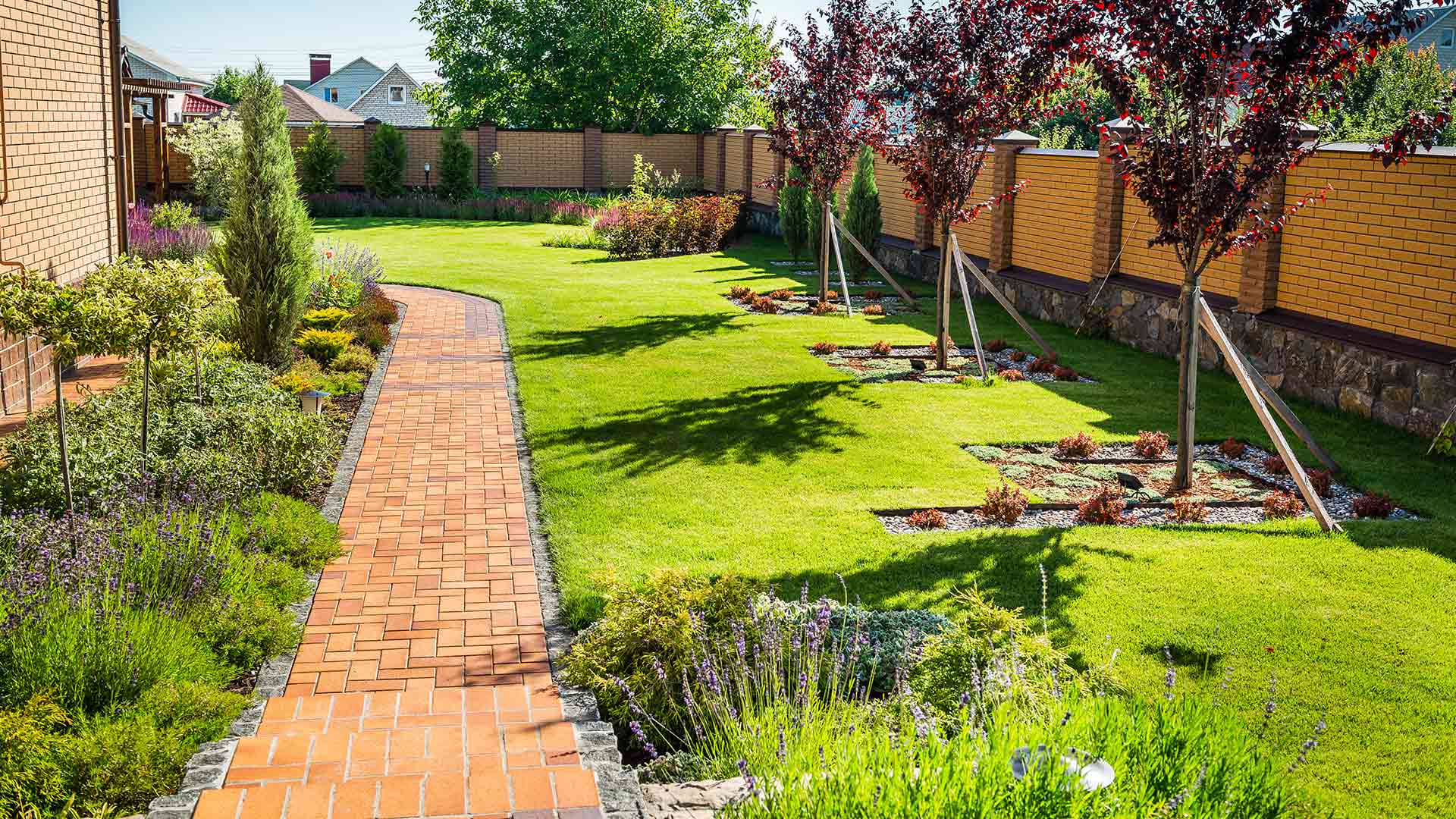 Stunning lawn, landscaping, and walkway in the back yard of a home in Matthews, NC.