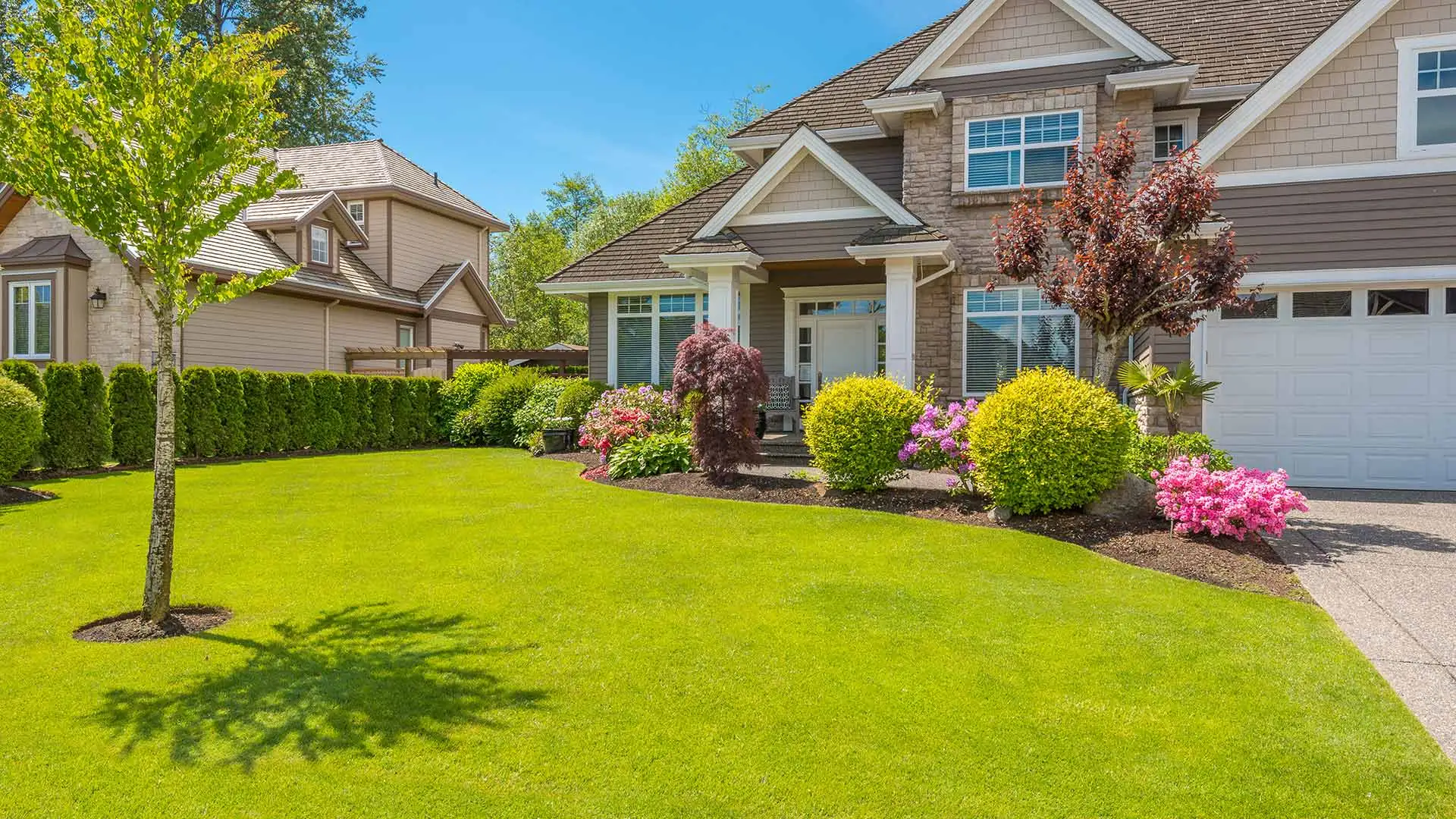 Stunning lawn and landscaping of a home in Ballantyne, NC that is very green and lush.