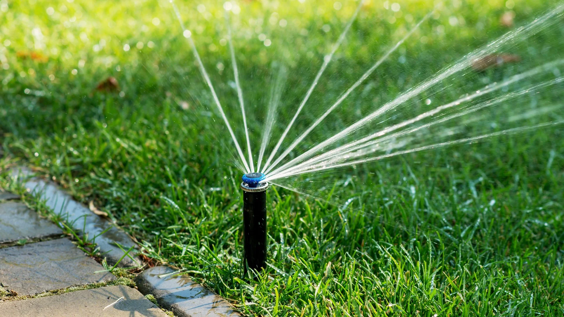 Avoid Costly Mistakes – Let Professionals Handle Your Irrigation Repairs