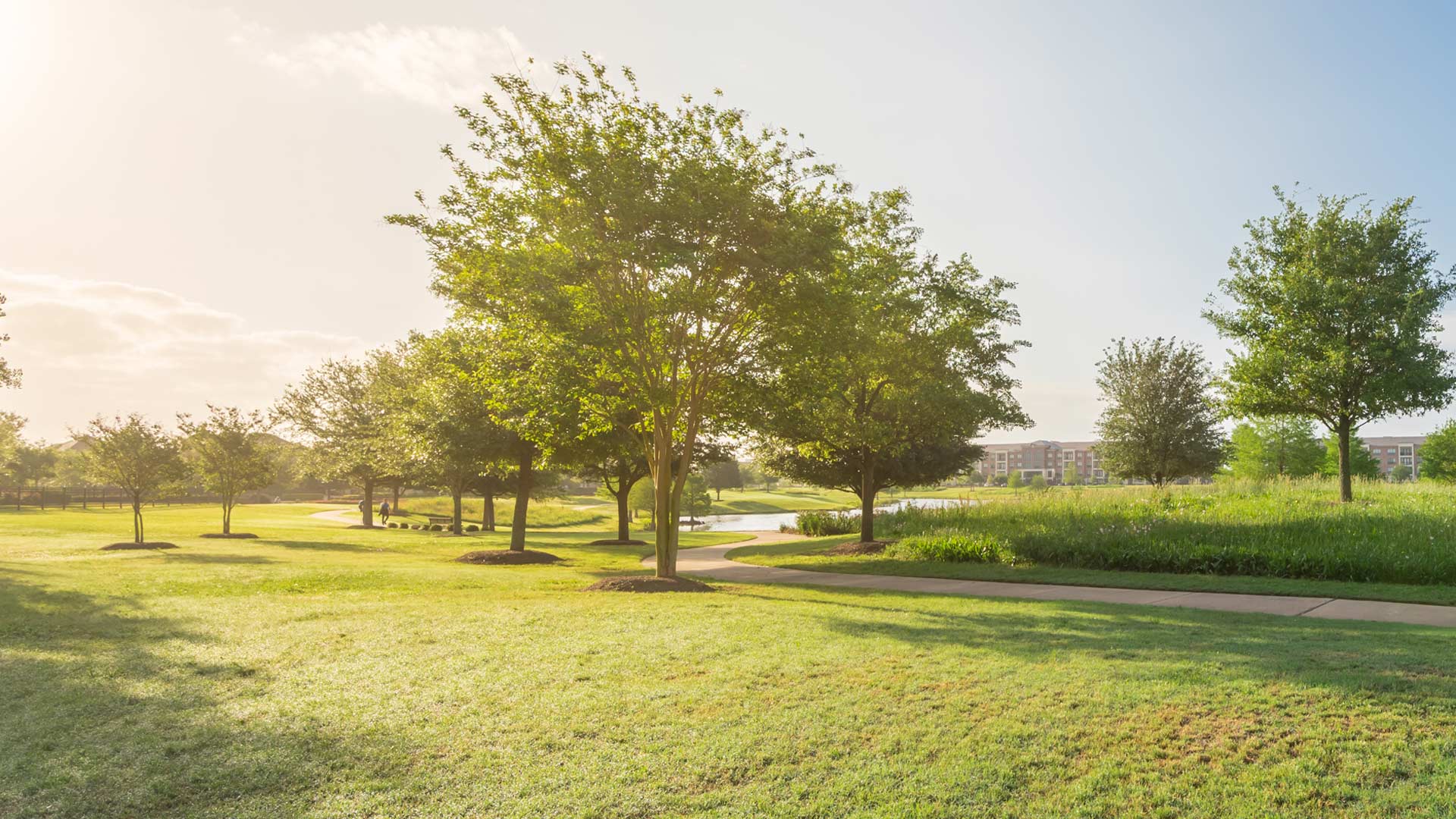 Greenery landscape shown in a neighborhood in Mint Hill, NC.