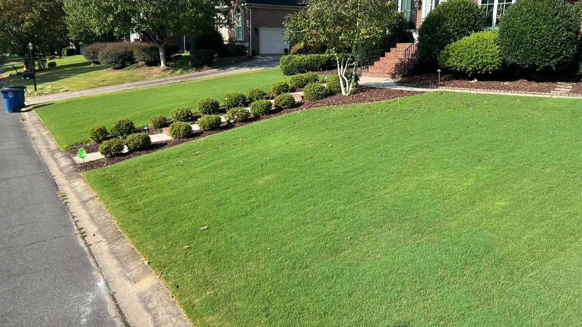 How Long Does It Take for Post-Emergent Weed Control to Eliminate Weeds?