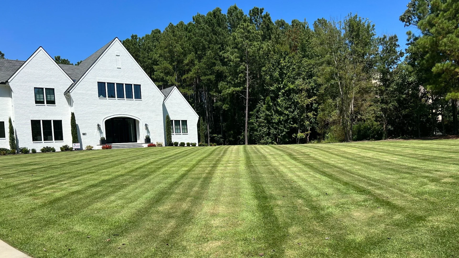 Can Mowing Help Manage Weed Growth on Your Lawn?