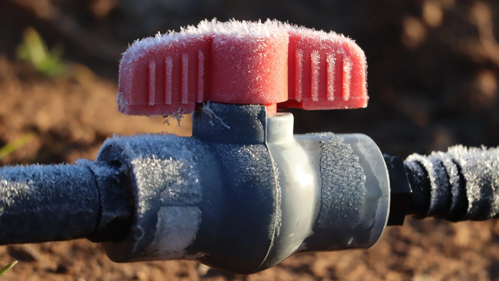 Irrigation Winterization: What It Is & What Happens if You Don't Do It