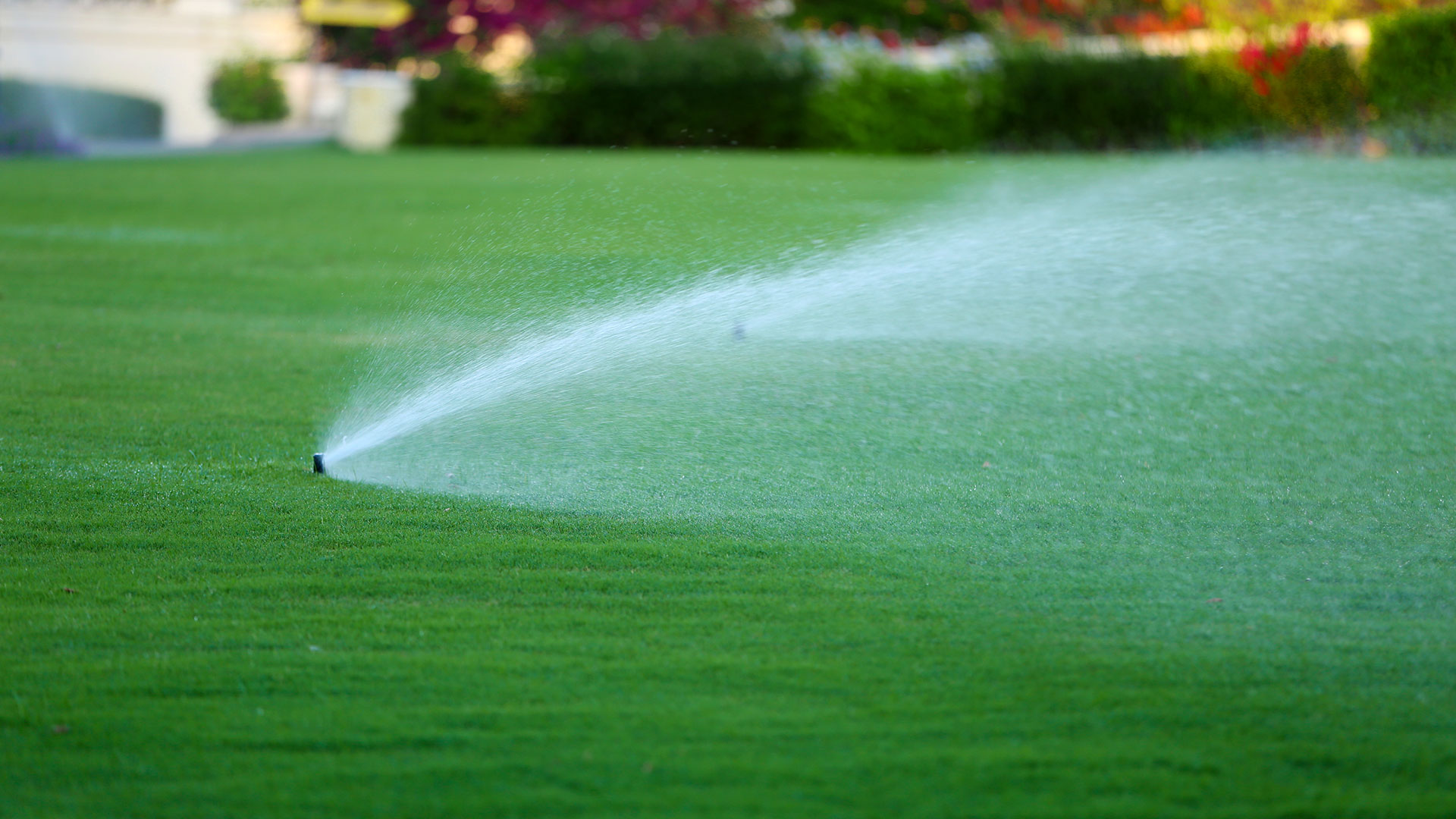 Irrigation sprinklers watering a green healthy lawn near Matthews, NC.