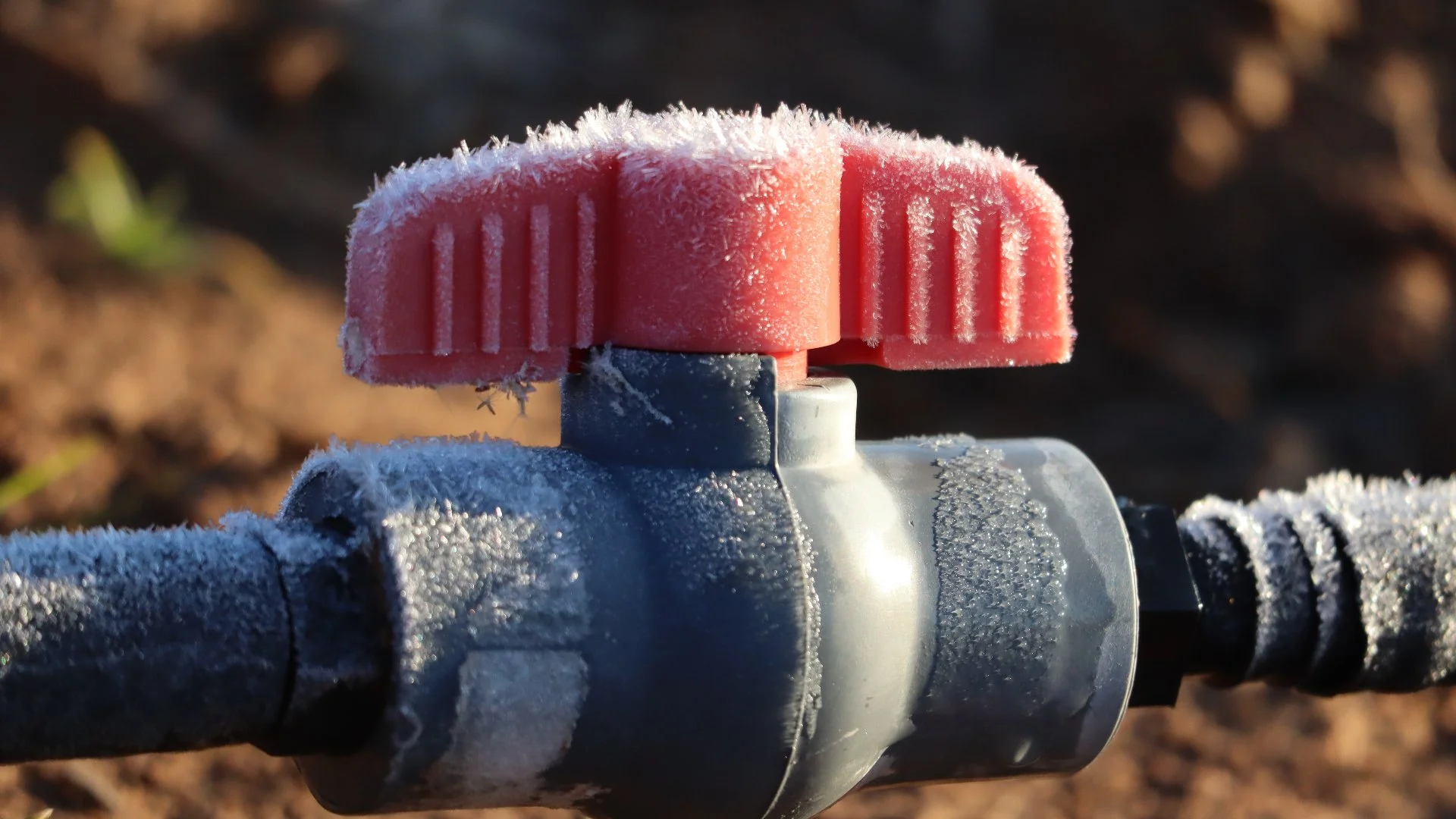 When Is the Perfect Time to Have Your Irrigation System Winterized?