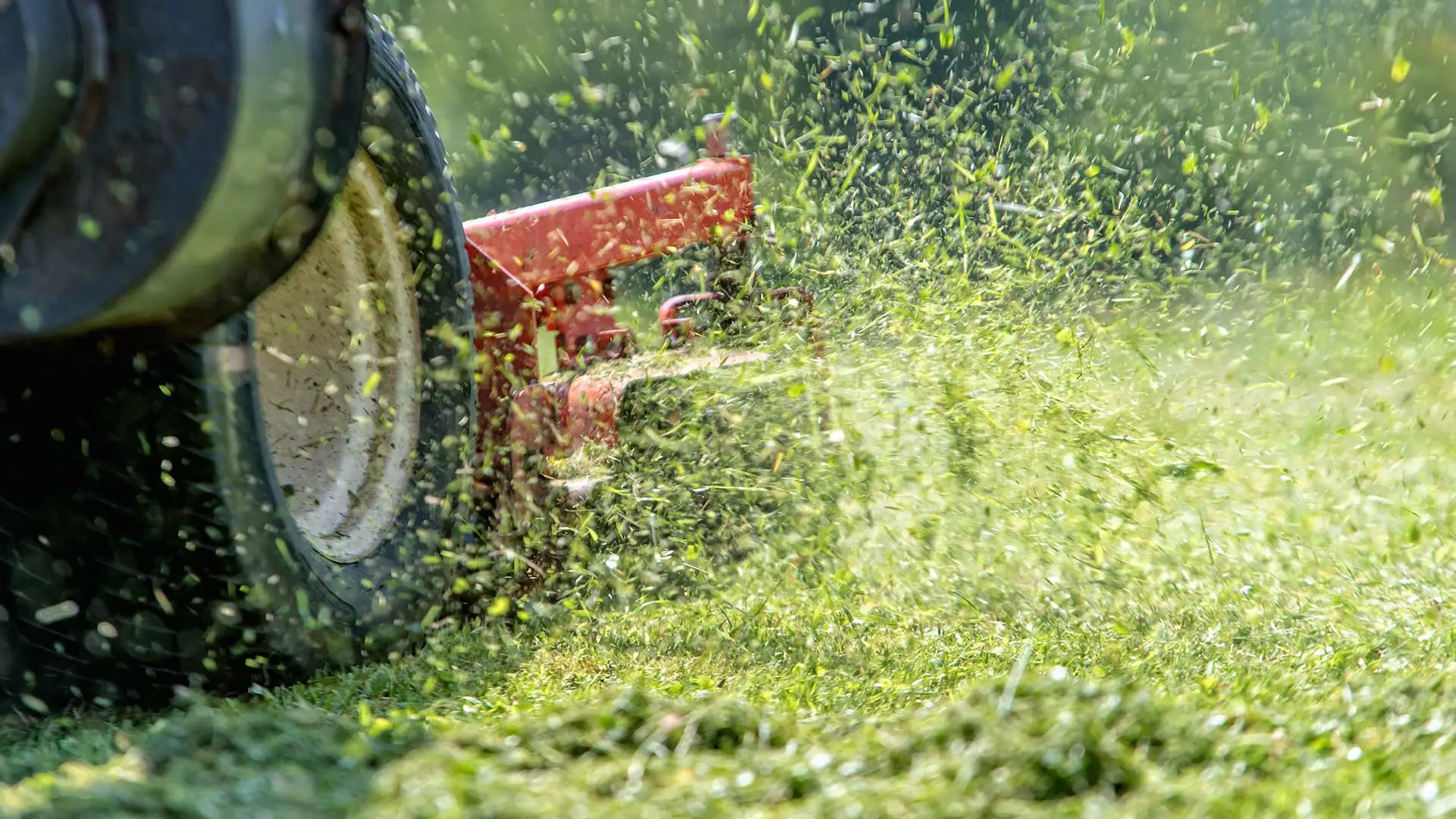 A riding mower mowing a lawn with grass blasting out near Matthews, NC.