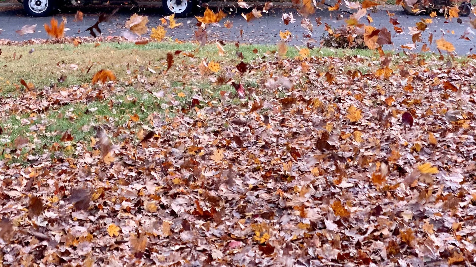 Burning Leaf Piles: A Viable Solution for Cleaning up Your Yard?
