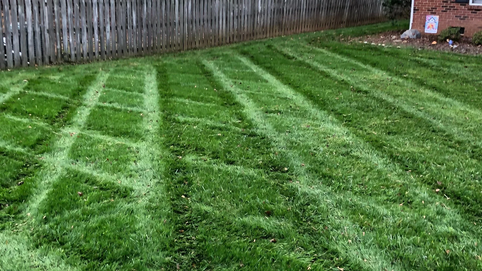 Always Follow the 1/3 Rule for Lawn Mowing!