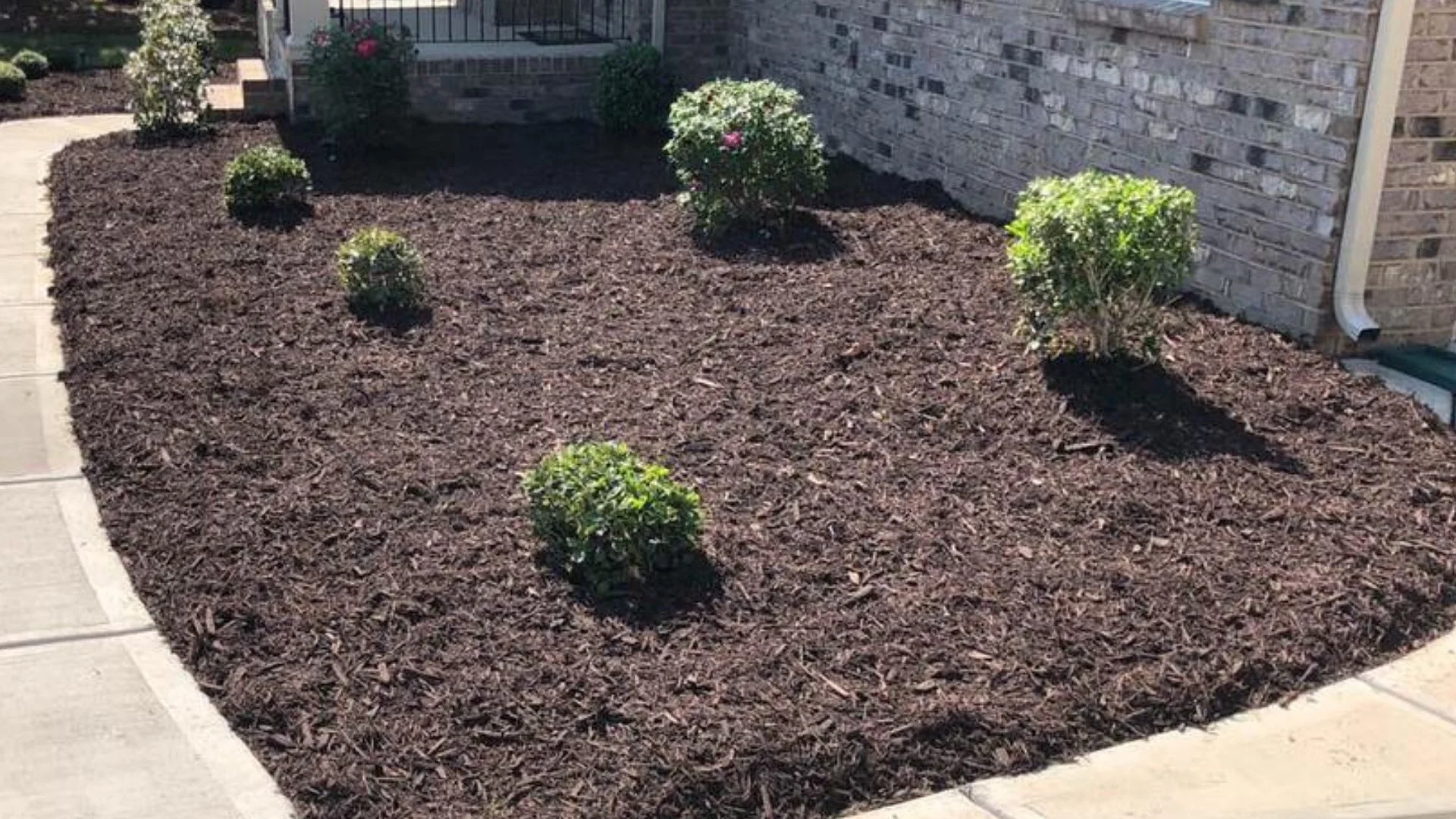 Pine Straw vs Wood Mulch: Which Should You Install?
