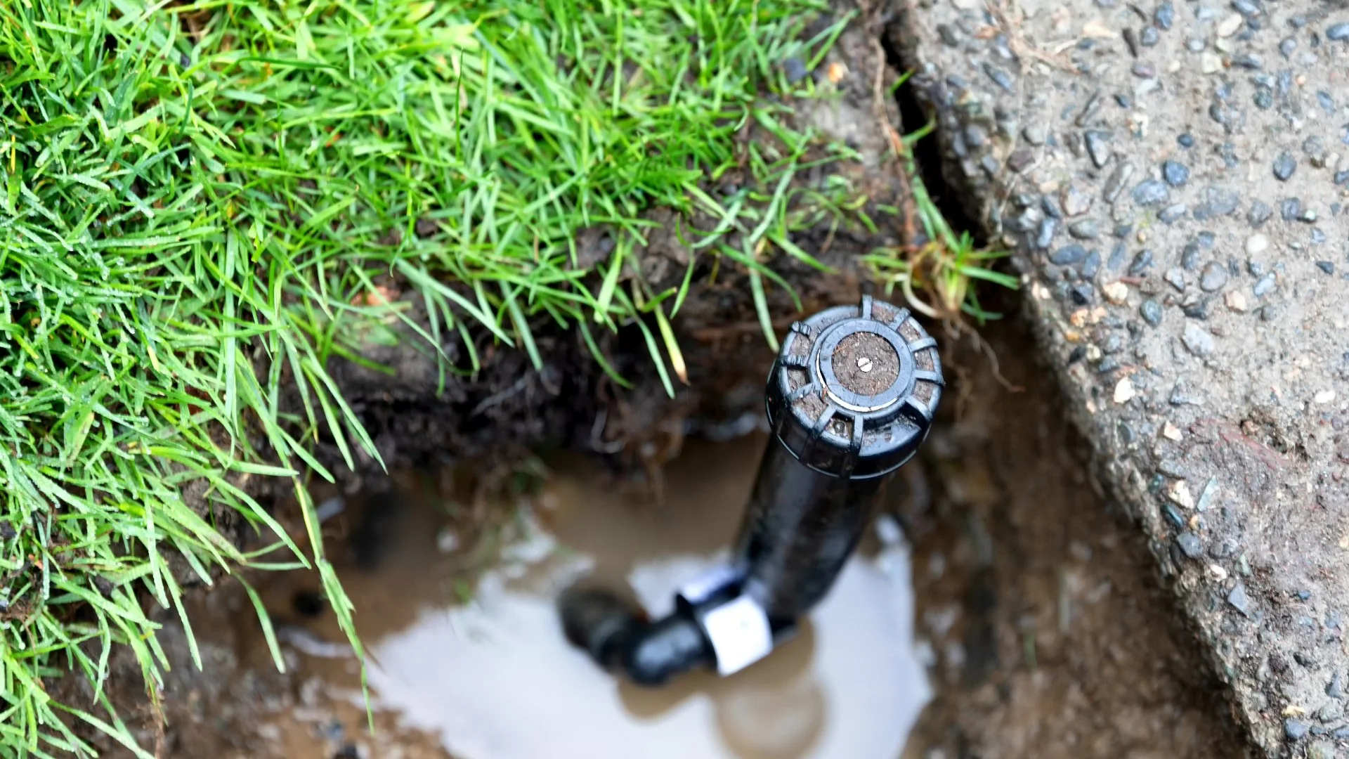 Possible Culprits Behind Your Irrigation System's Low Water Pressure