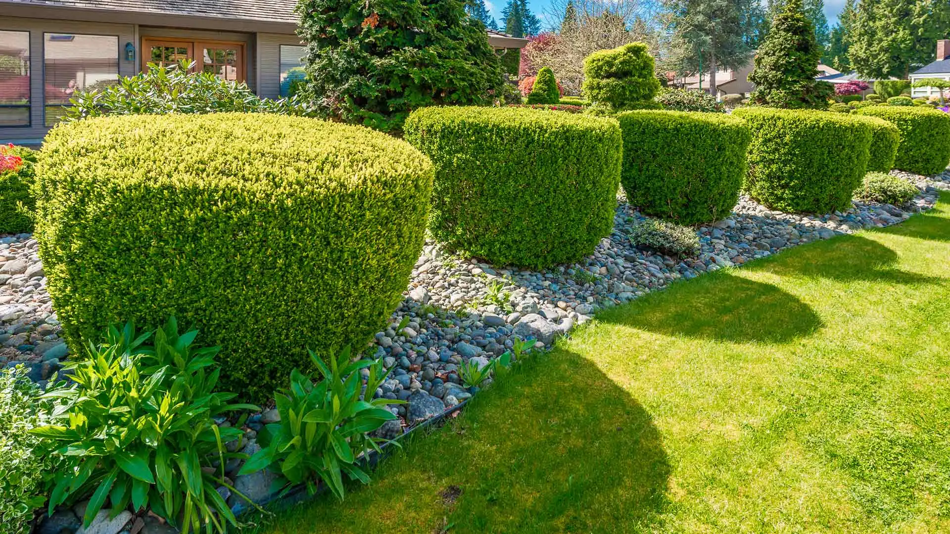 Gorgeous shrubs and landscape bed trimmed and pruned in Charlotte, NC.