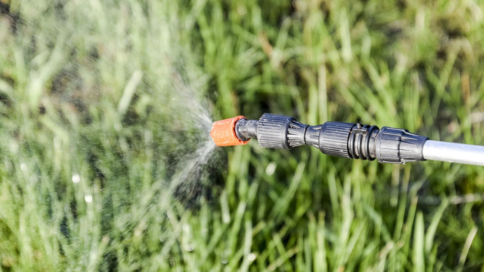 Green lawn being sprayed with various lawn care solutions to strengthen it in Matthews, NC.