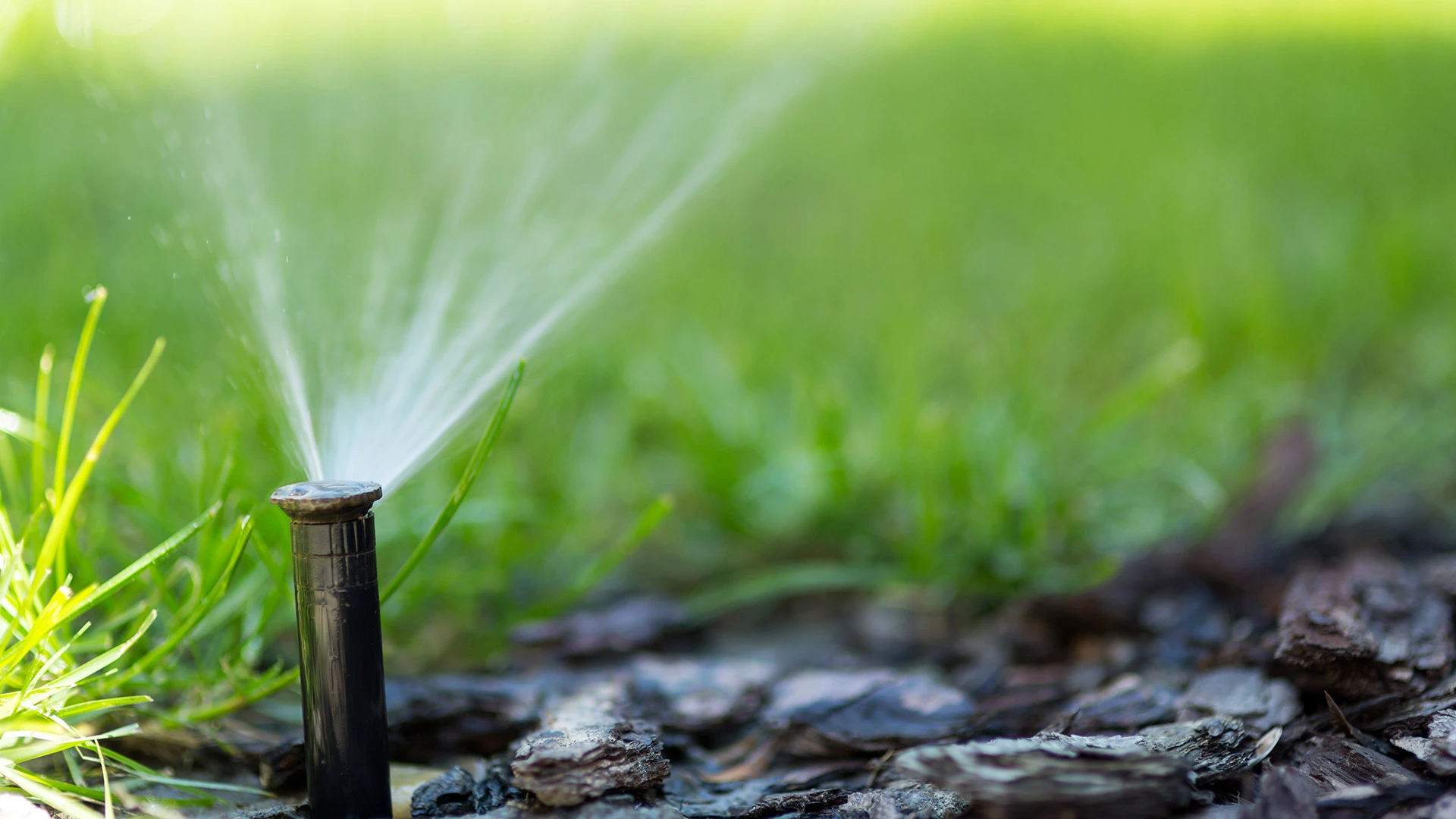 Sprinkler head watering a lawn for the first time in spring after a spring start up service near Charlotte, NC.