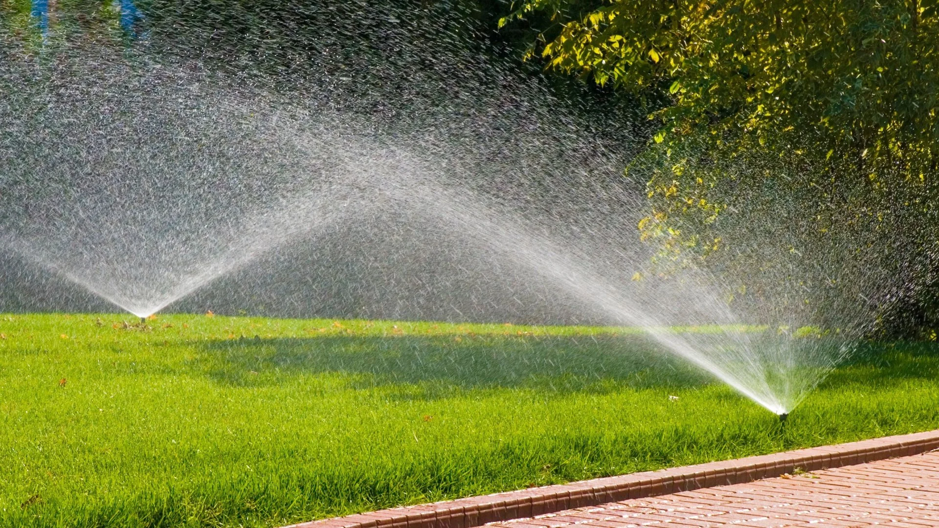 Are Some of Your Sprinkler Zones Not Running? Possible Culprits