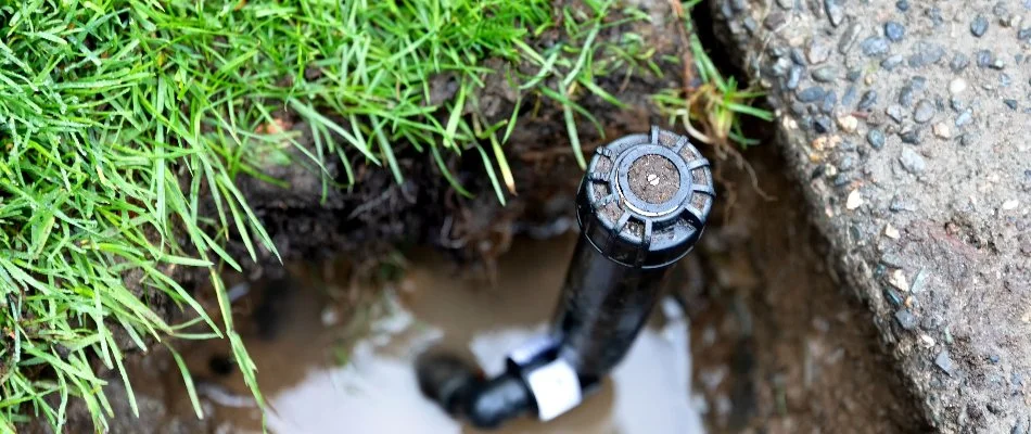 Broken sprinkler head in Matthews, NC.