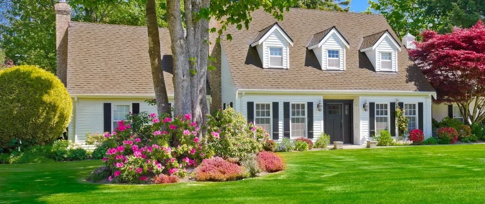 Landscape bed in Matthews, NC, with trees and flowers.