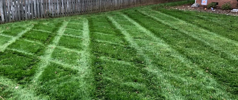 Lawn in Matthews, NC, with a mowing pattern.