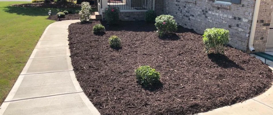 Mulched landscape in Matthews, NC, with small plants.