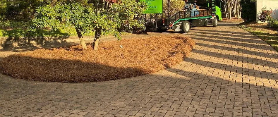 Paver driveway around a pine straw bed in Matthews, NC.