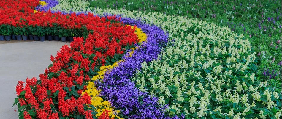 Red, yellow, purple, and green plants in Matthews, NC.