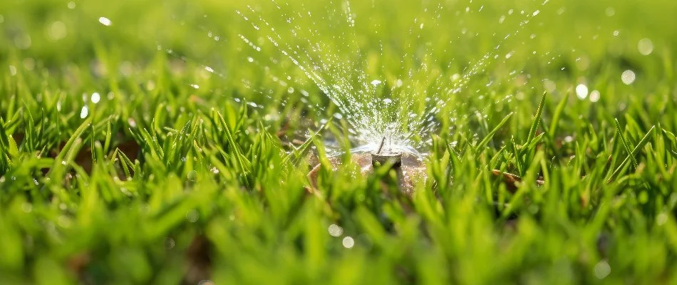 Sprinkler head in Matthews, NC, with low water pressure.