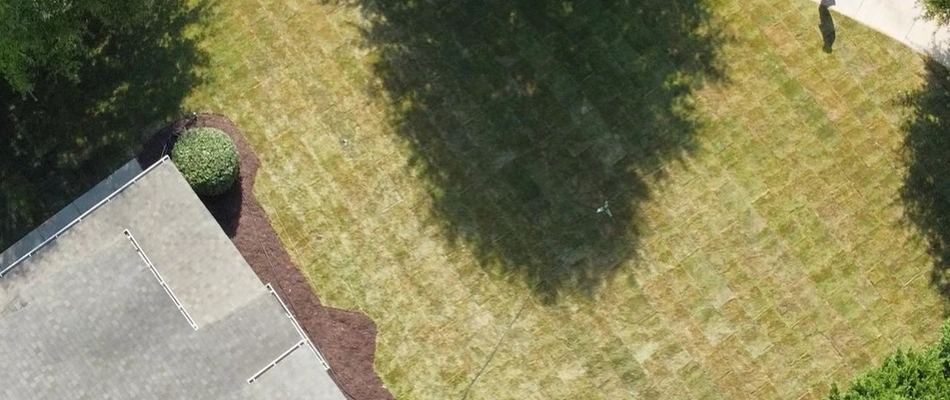 Aerial view of sod installed for a new lawn in Wesley Chapel, NC.