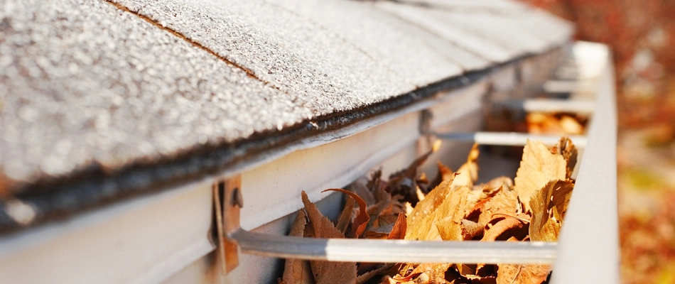 Gutter filled with leaves creating a hiding spot for mosquitoes in Mint Hill, NC.