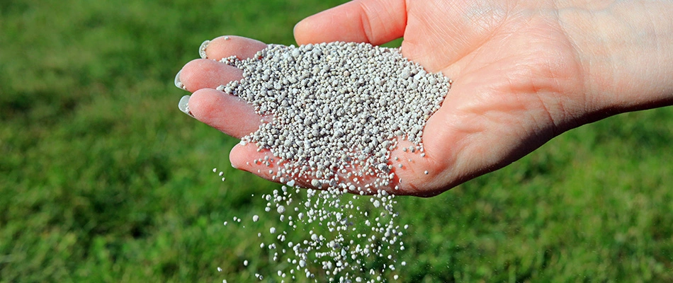 A hand dropping granular fertilizer on a lawn near Weddington, NC.