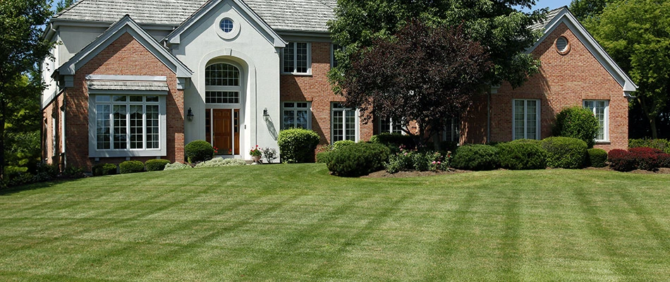 Beautiful lawn that has been freshly mowed with a rotated pattern.