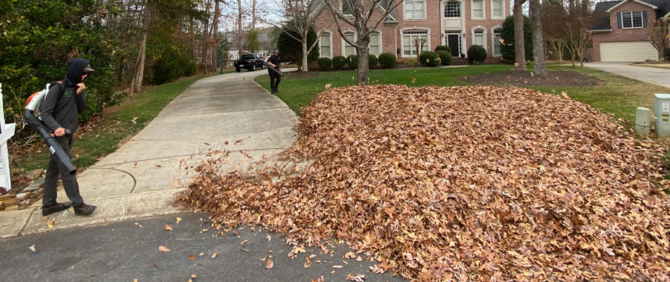 Pile of leaves being removed by professionals in Newell, NC.