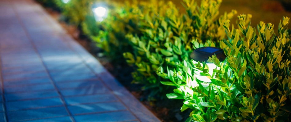 Landscape lighting installed in landscape bed beside walkway in Indian Trail, NC.