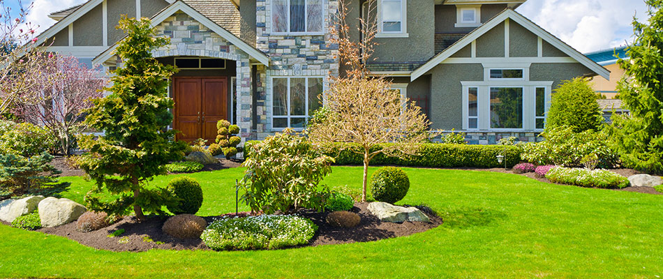 Healthy, lush lawn with beautiful landscaping in Matthews, NC.