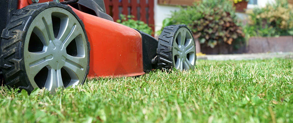 A lawnmower on a lawn after cutting it to the right height near Ballantyne and other areas in North Carolina.