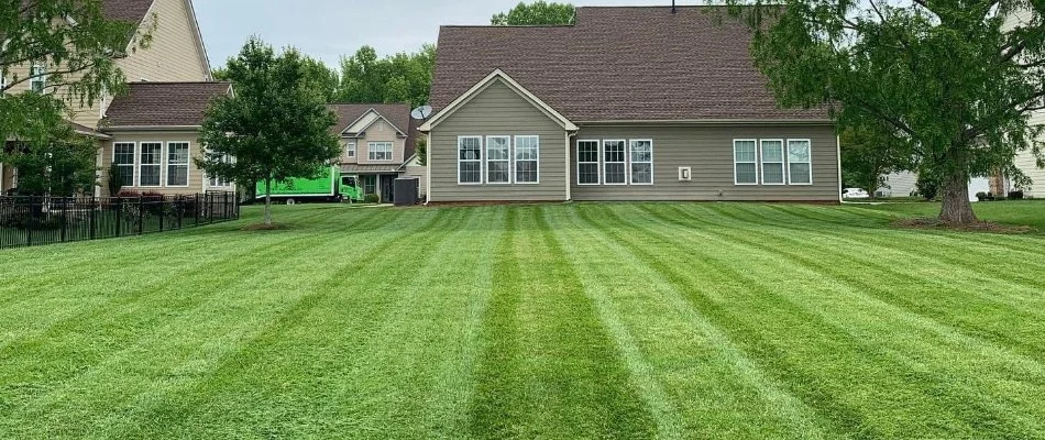 Manicured, mowed lawn on a property in Mount Pleasant, NC.