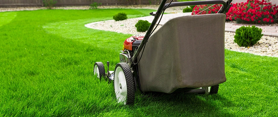 Push lawn mower cutting a gorgeous and healthy lawn in Matthews, NC.