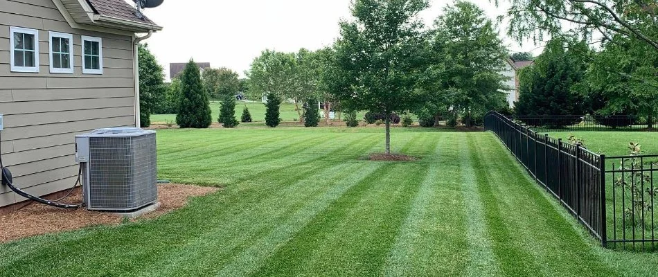 Mowing stripes on a property in Matthews, NC.