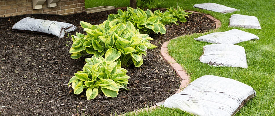 Mulch bags next to a landscape bed ready to reshape and improve it.