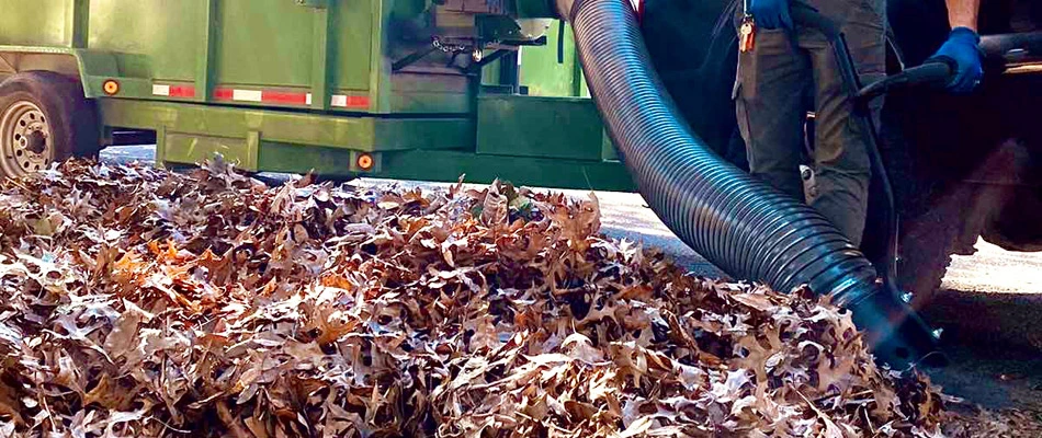 Vacuum truck performing leaf removal service in Wesley Chapel, NC.