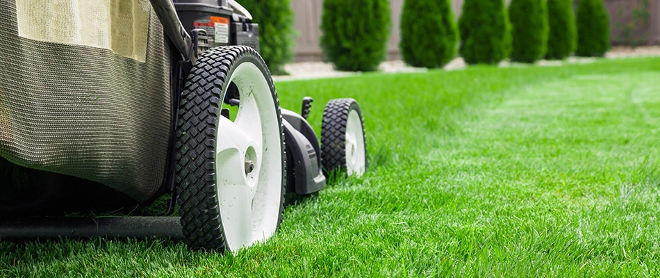 Push mower up close cutting a healthy lawn at a good height.