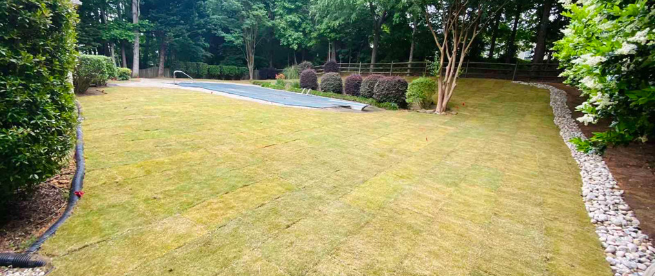 Sod installed for a new lawn build in Indian Trail, NC.