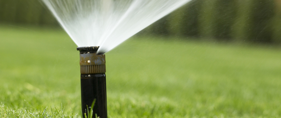 Sprinkler is watering a lawn up close and with a blurred background.