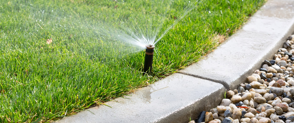 An irrigation sprinkler watering a lawn in Mint Hill, NC.
