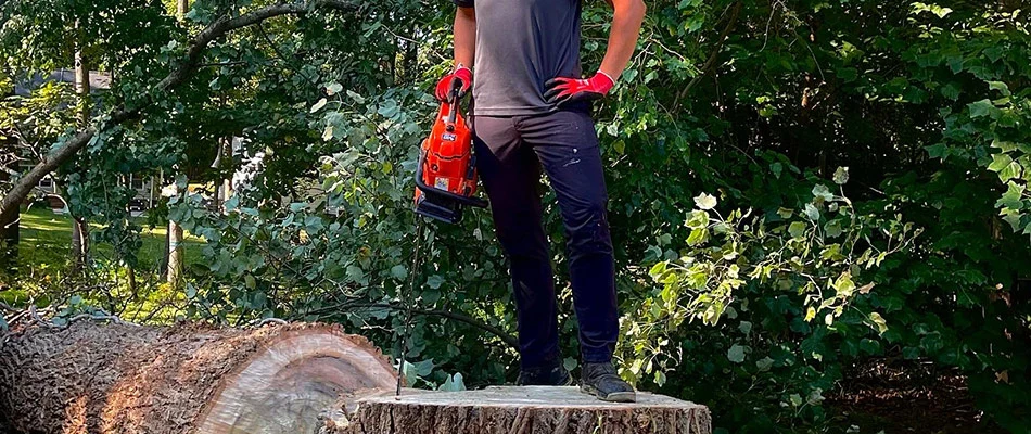 Professional tree remover is standing utop the stump of a tree he just cut near Weddington, NC and surrounding areas.