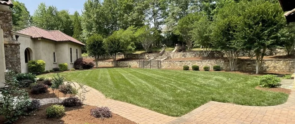 Trees and landscaping around a healthy, green lawn in Baxter Village, SC.
