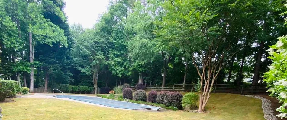 Yard in Baxter Village, SC, with trees and shrubs.